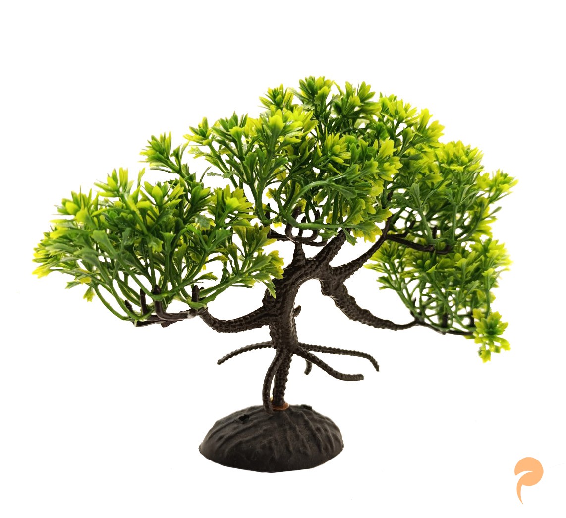 Фото2.Рослина-дерево, 13х4.5х22 см